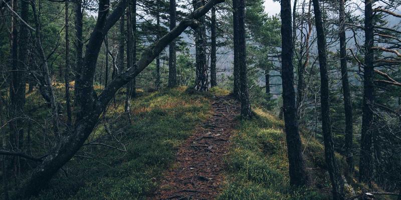 揭秘美迪电池快充技术：是效率革命还是寿命杀手？深度解析对UPS及蓄电池的影响